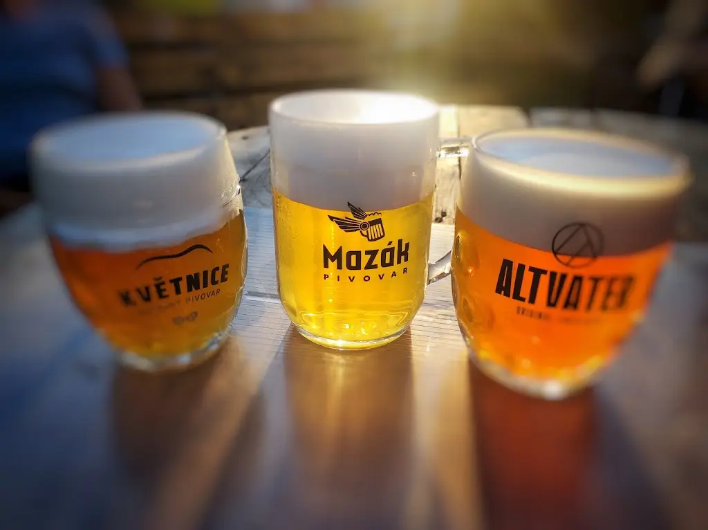 Menu_Pivní Šenk Na Zámostí Za Mostem, Sportovní areál TJ Sokol Nosislav, 691 64 Nosislav Brno - venkov_Nosislav_image_2