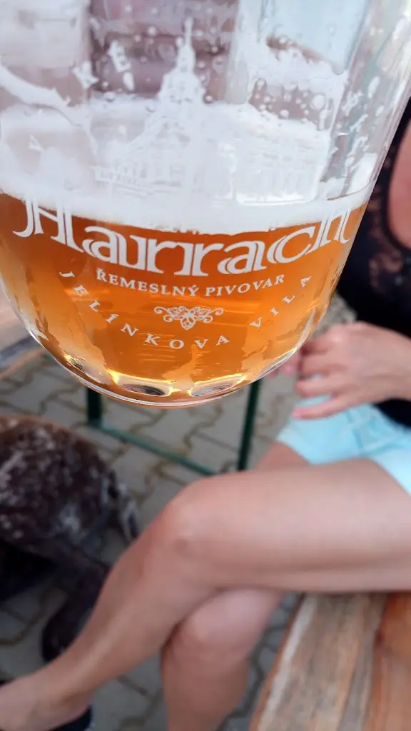 Menu_Pivní Šenk Na Zámostí Za Mostem, Sportovní areál TJ Sokol Nosislav, 691 64 Nosislav Brno - venkov_Nosislav_image_3