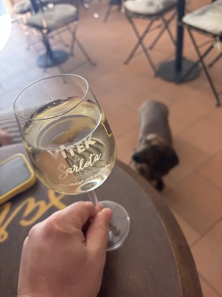 Daniel Večeřa_Penzion Šarlota & Vinařství Vítek Josef_Mutěnice_review