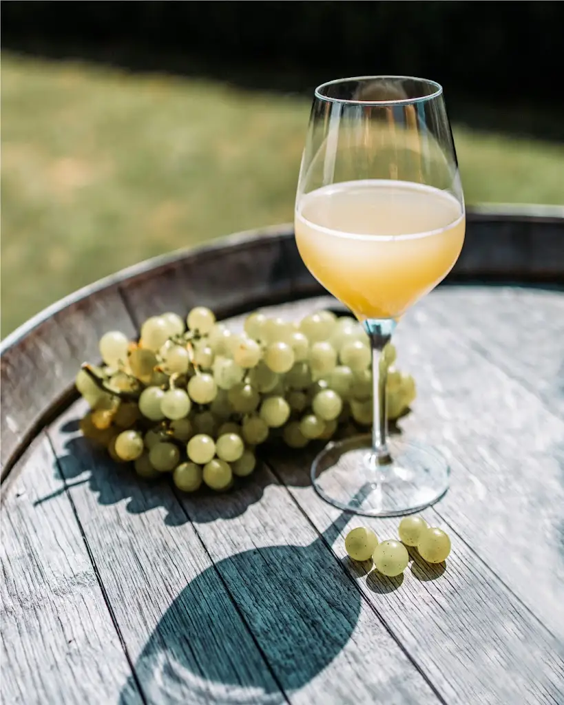 U Ondry_Novosedly_slider_image_2