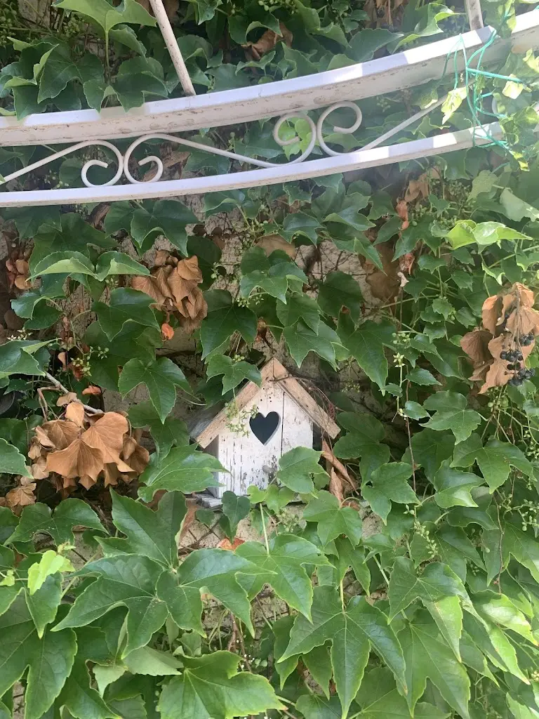 Harry Christ_La Familia Café_Okres Znojmo_review