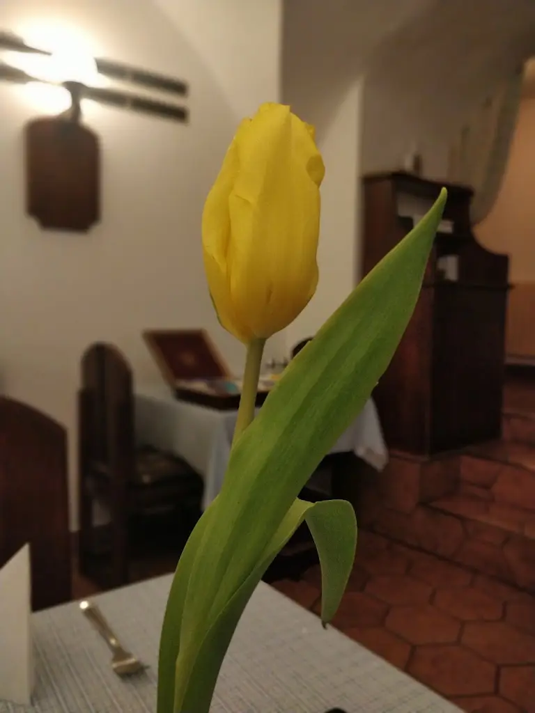 Dilip Yadav_Ubytování v penzionu Chalupa U Městské brány_Okres Vyškov_recensione