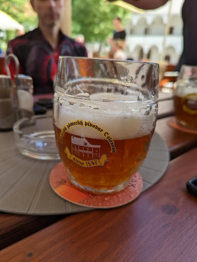 Menu_Zámecká restaurace_Oslavany_image_5