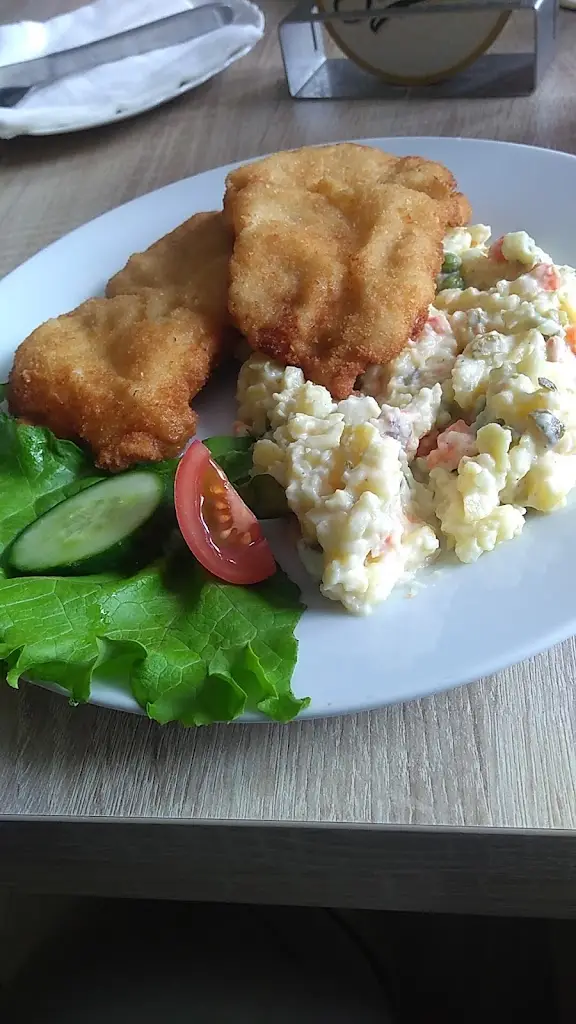 Jiří Nešpůrek_Hotel Horník_Oslavany_review