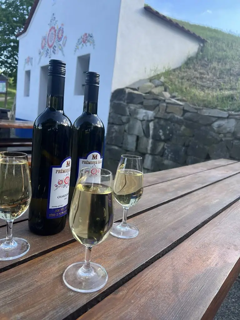 Wi-Fi Free CZ_Petrov Plže - sklep 10_Petrov_review