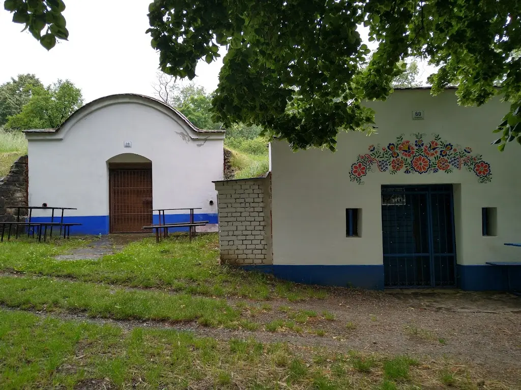 Jan Vaca_Petrov Plže - sklep 10_Petrov_review