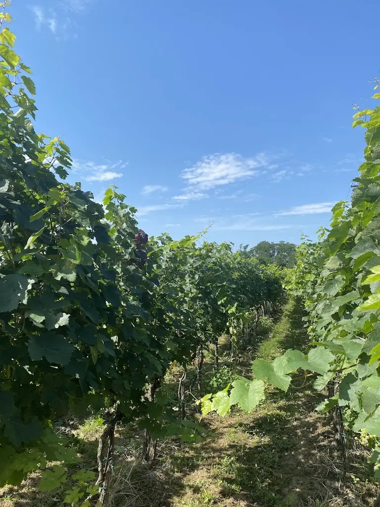 Lucie Dočkalová_Ubytování U Osičků_Prušánky_review