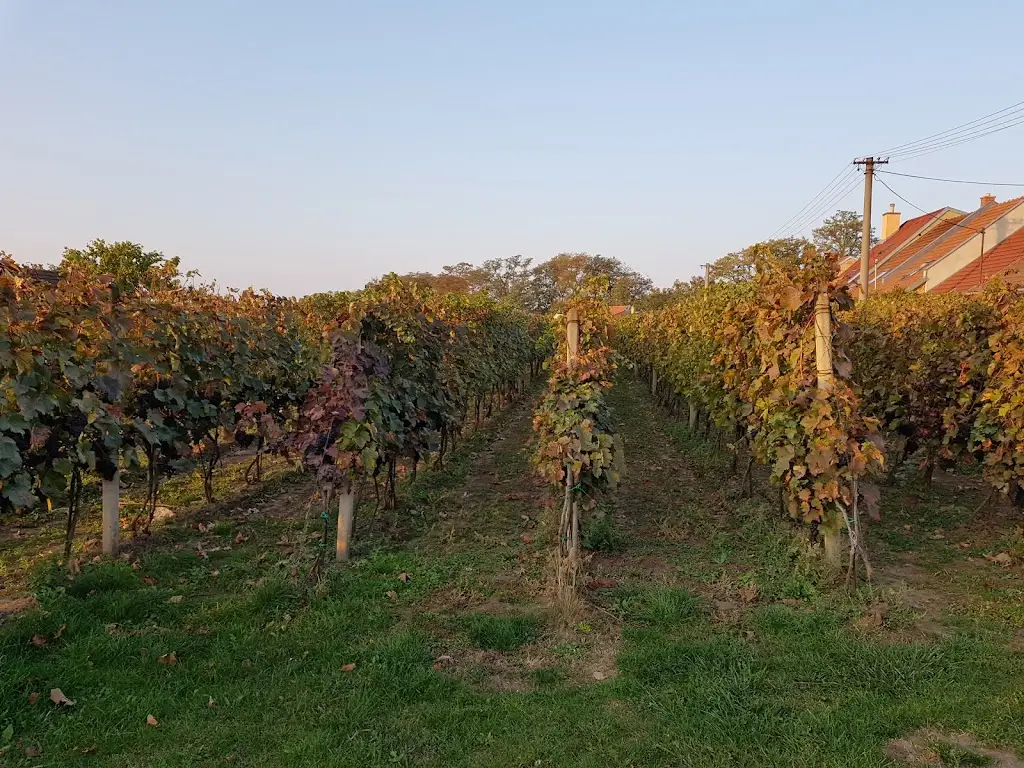 Ubytování U Osičků_Prušánky_slider_image_2