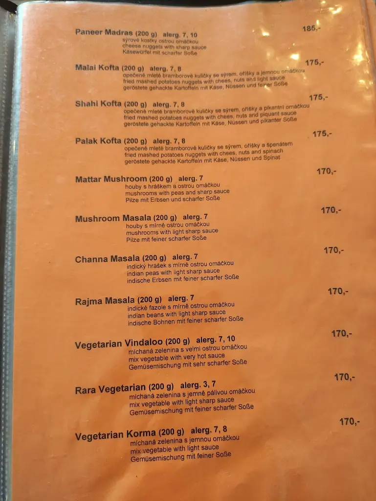 Menu_Indian Restaurant_České Budějovice_image_3