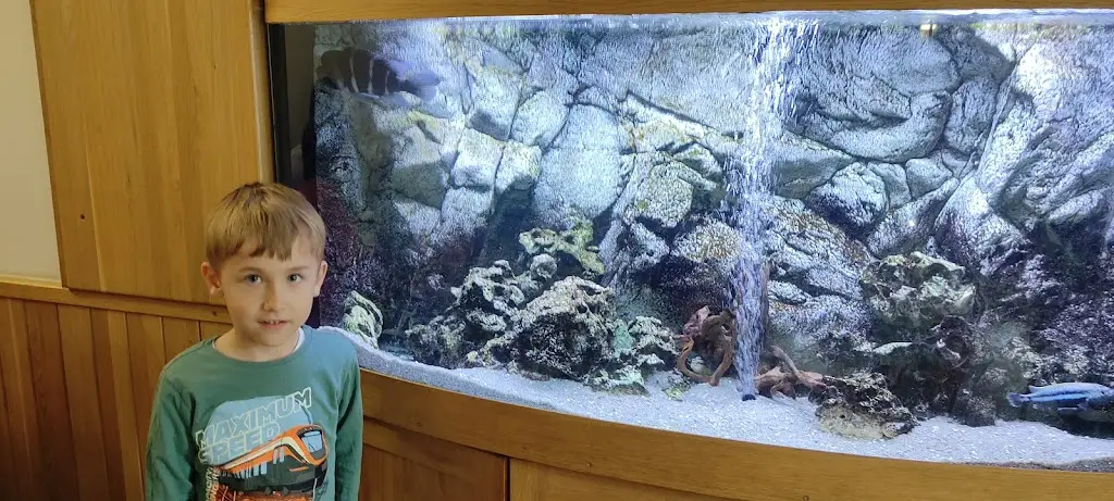 S Holmes_HOSPŮDKA MALÁ ALE NAŠA_Předklášteří_review