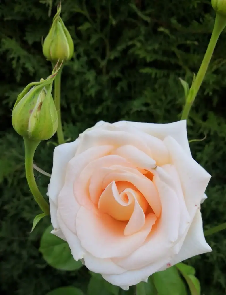 Hospůdka Budka_Rajhrad_slider_image_2