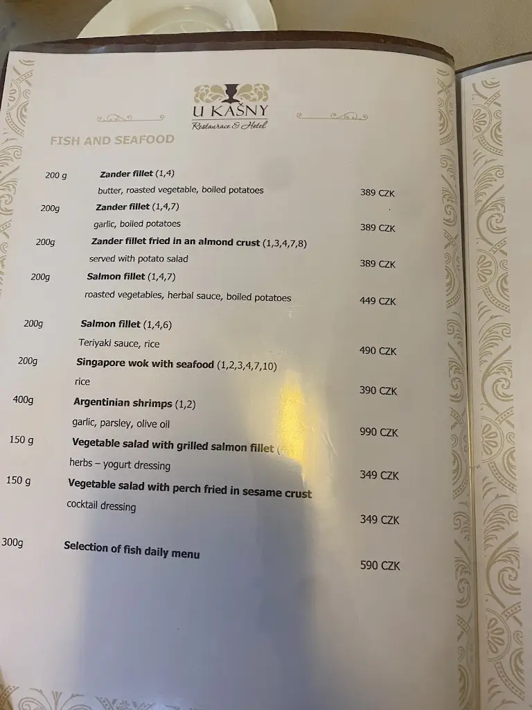Menu_Restaurace & Hotel U Kašny_Rajhrad_image_1