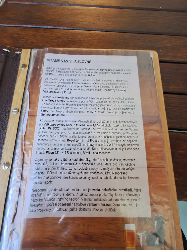 Jan Mikes_Kozlovna u Zelené Ratolesti_České Budějovice_review