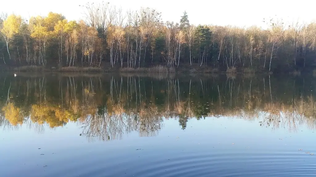 Rybářská Bašta restaurant in Ratíškovice