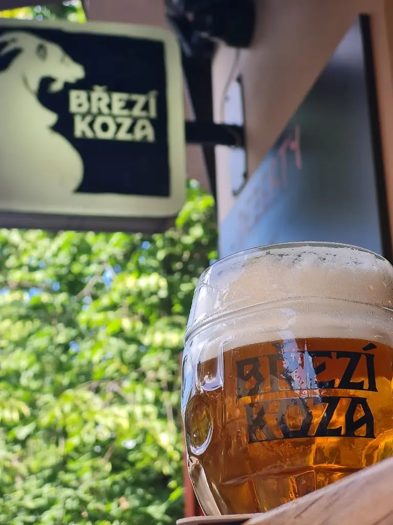 Vlada Nedved_Praži Café_České Budějovice_review