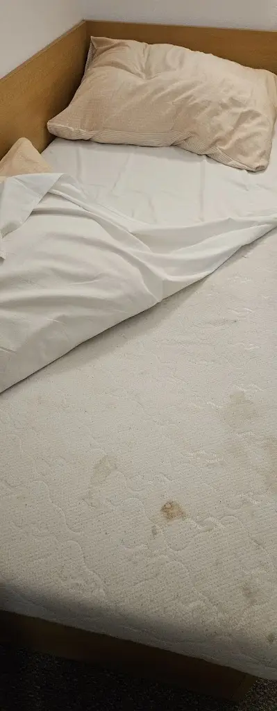 zly syn_FC Slovan Rosice_Rosice_recensione