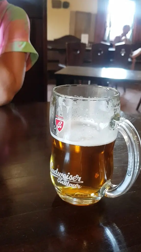 Motorest Bonaparte_Rousínov_slider_image_2