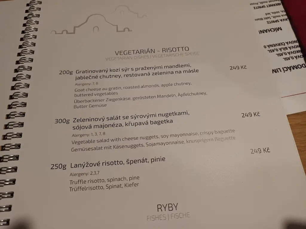 Menu_Restaurace Retro Gril_Šakvice_image_3