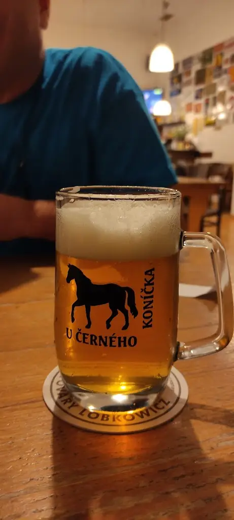 Menu_Hostinec U Černého koníčka_České Budějovice_image_5