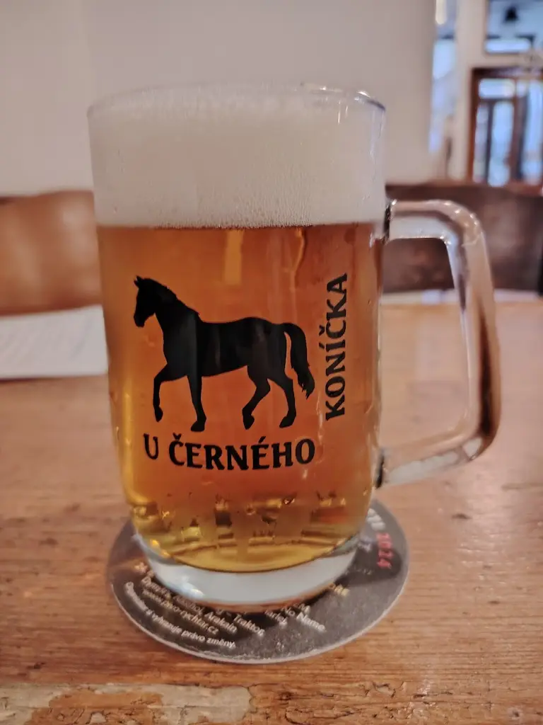 Hostinec U Černého koníčka_České Budějovice_slider_image_3