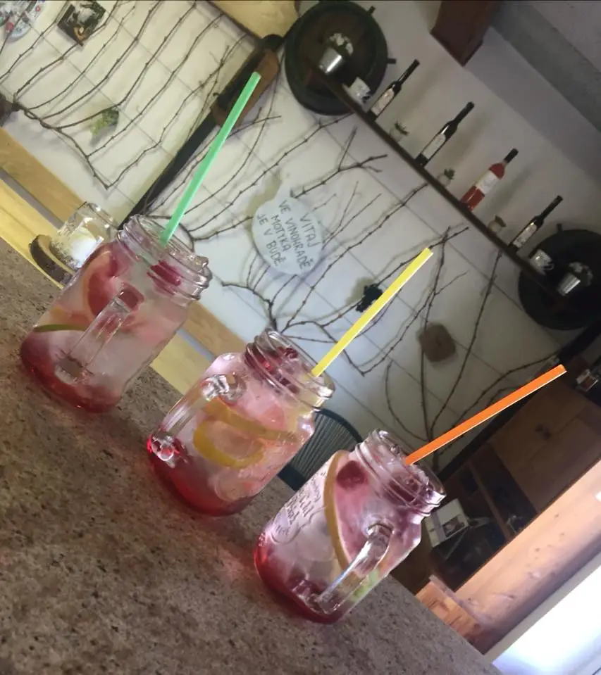 Menu_Vinná Zastávka_Šardice_image_1