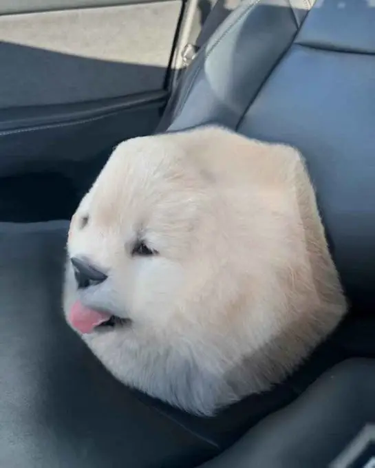 Boeing 747_Orlovna Šitbořice_Šitbořice_recensione