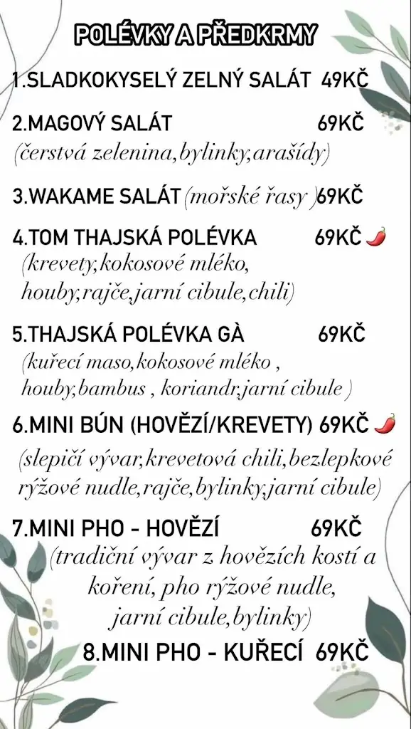 Menu_Xin Chao Ceske Budejovice_České Budějovice_image_4