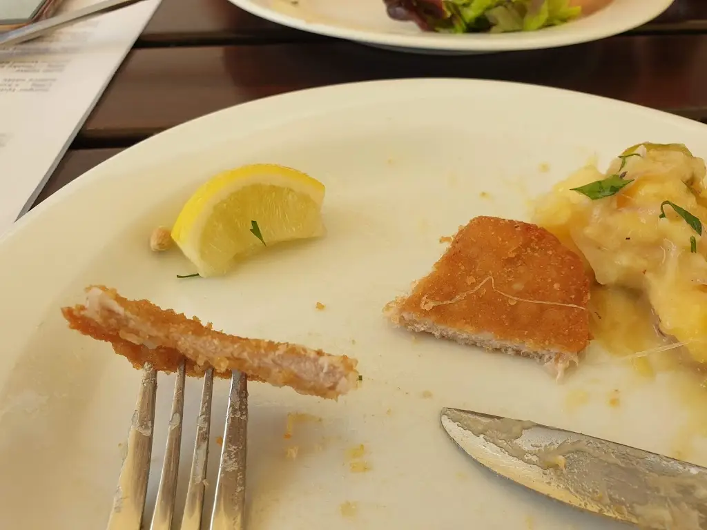 Petr Kožusznik_ŠlapeTo_Šlapanice_review