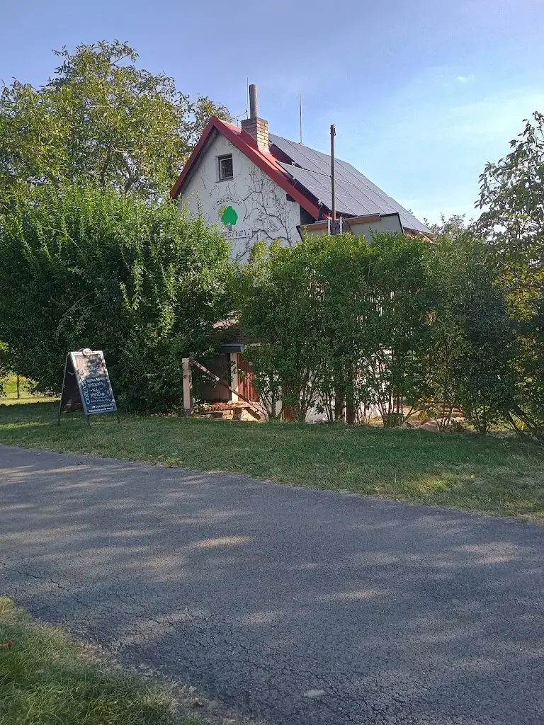 Šárka Kašparová_U oskoruše_Strážnice_recensione