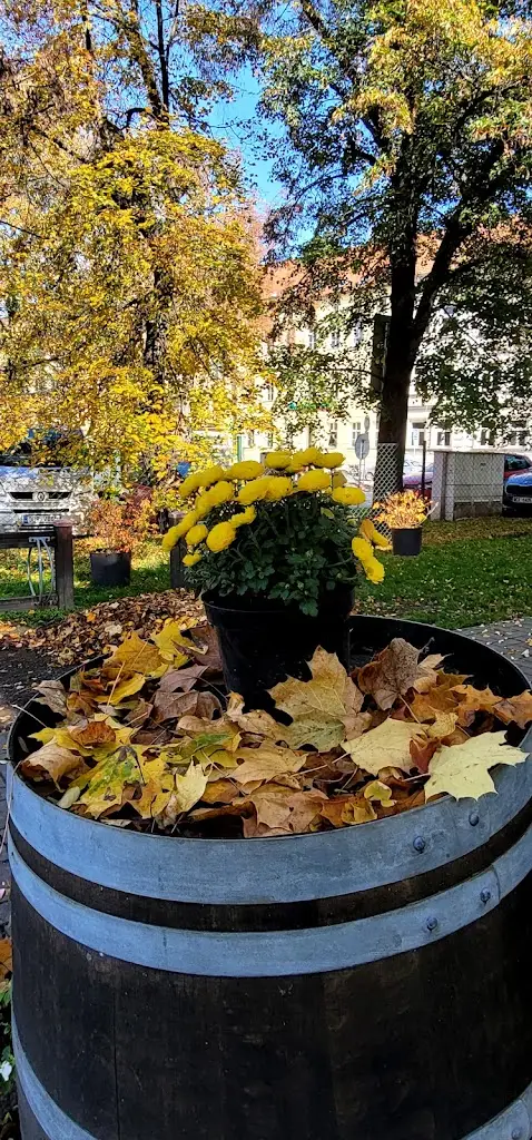 Roman Sidorov_Lanna cafe_České Budějovice_review