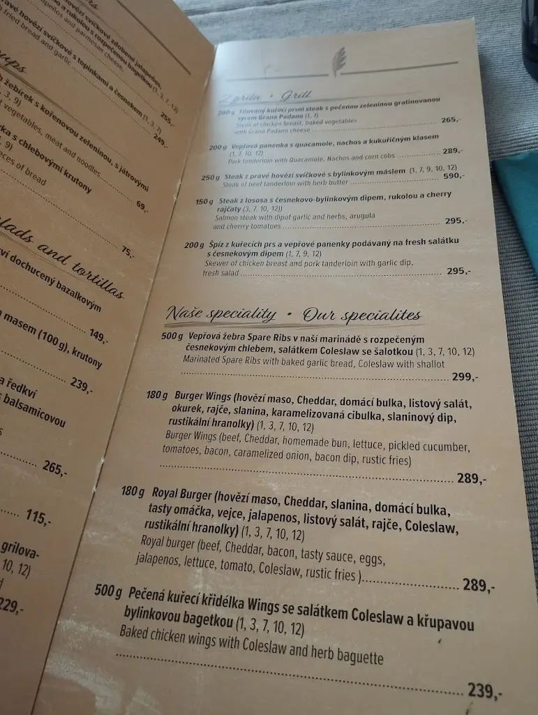 Menu_Wings pizzerie a restaurant_Slavkov u Brna_image_3