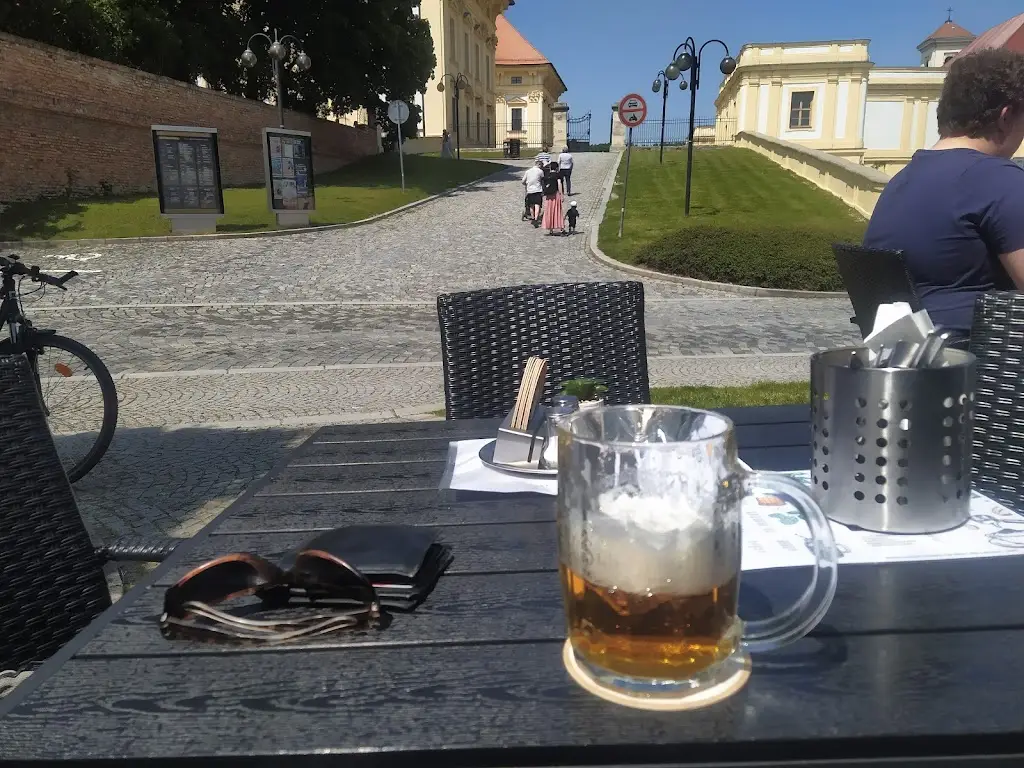 Menu_Restaurace Bonaparte_Slavkov u Brna_image_5