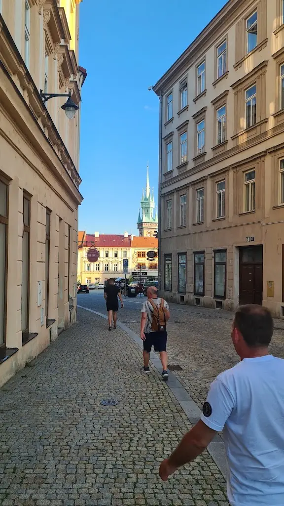 Aleksandar Janicijevic_Bernard Bar Slepičák_Suchohrdly_review