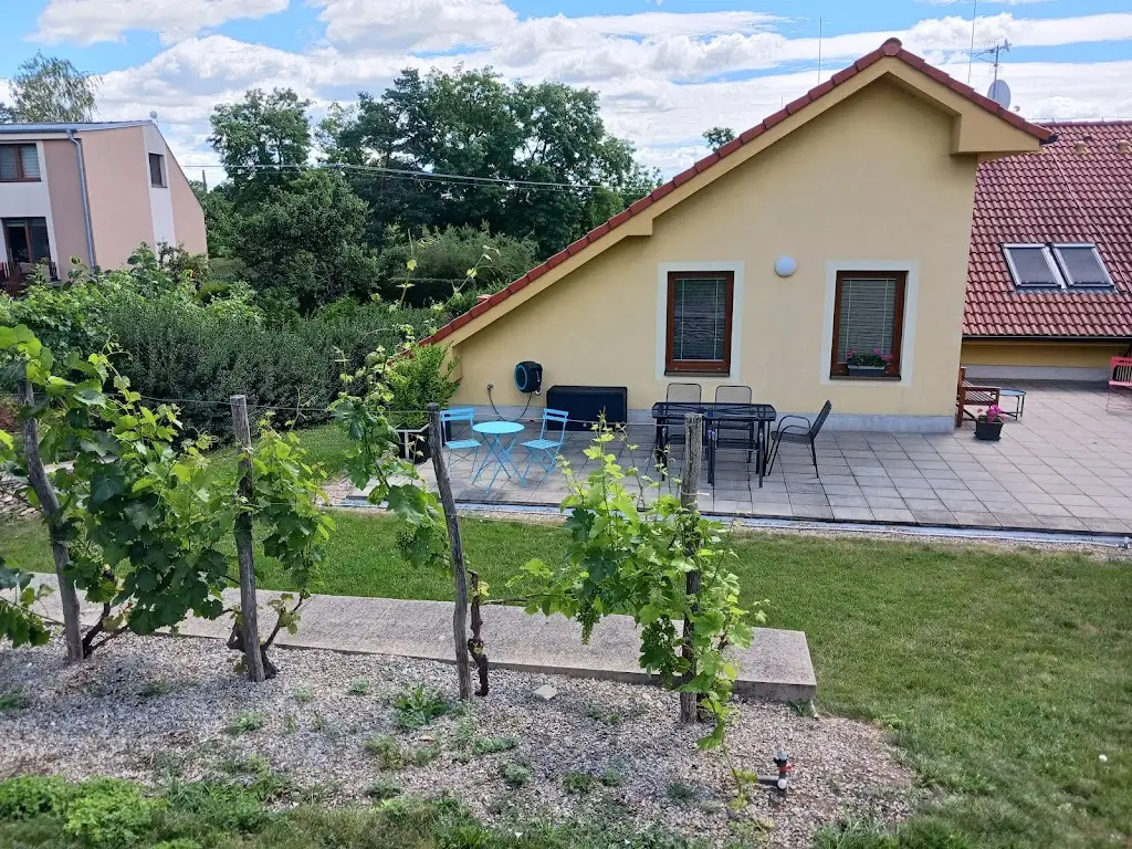 Tereza Fišerová_sunny pension_Tasovice_review