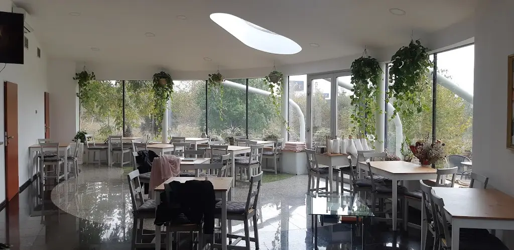 No Stress Café Restaurant_Troubsko_slider_image_1