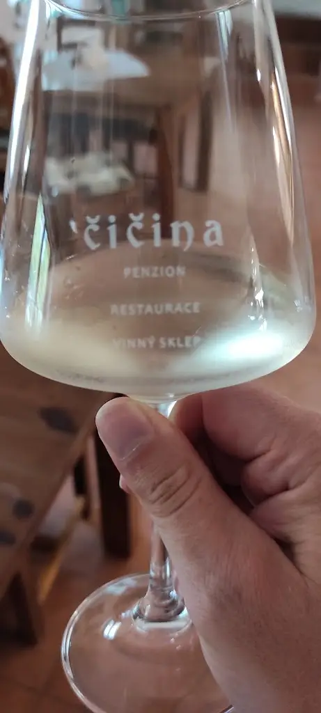 Menu_Penzion a restaurace Čičina Tvrdonice okr. Břeclav_Tvrdonice_image_1