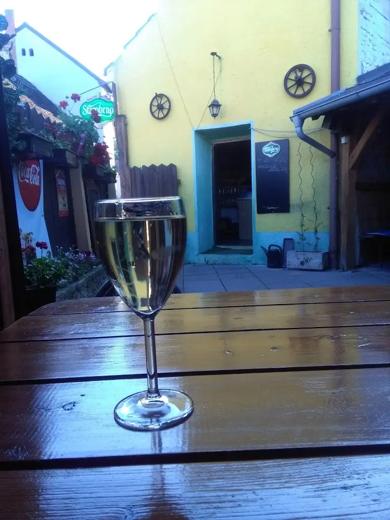 Menu_Restaurace Pod kostelem_Velké Opatovice_image_3