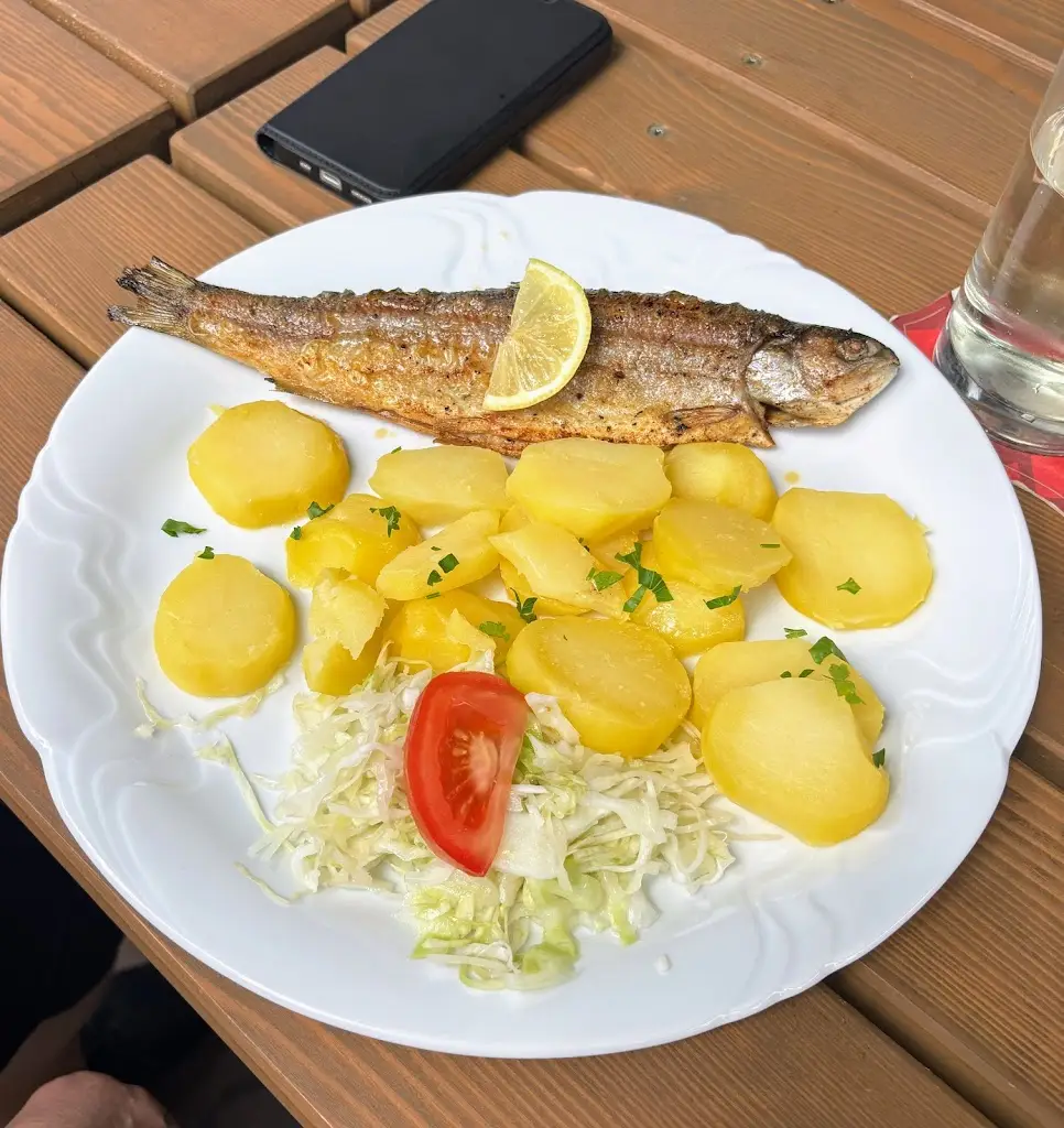 Miloslav Slávek Šprynar_Pension a restaurace Rudolec_Český Rudolec_review