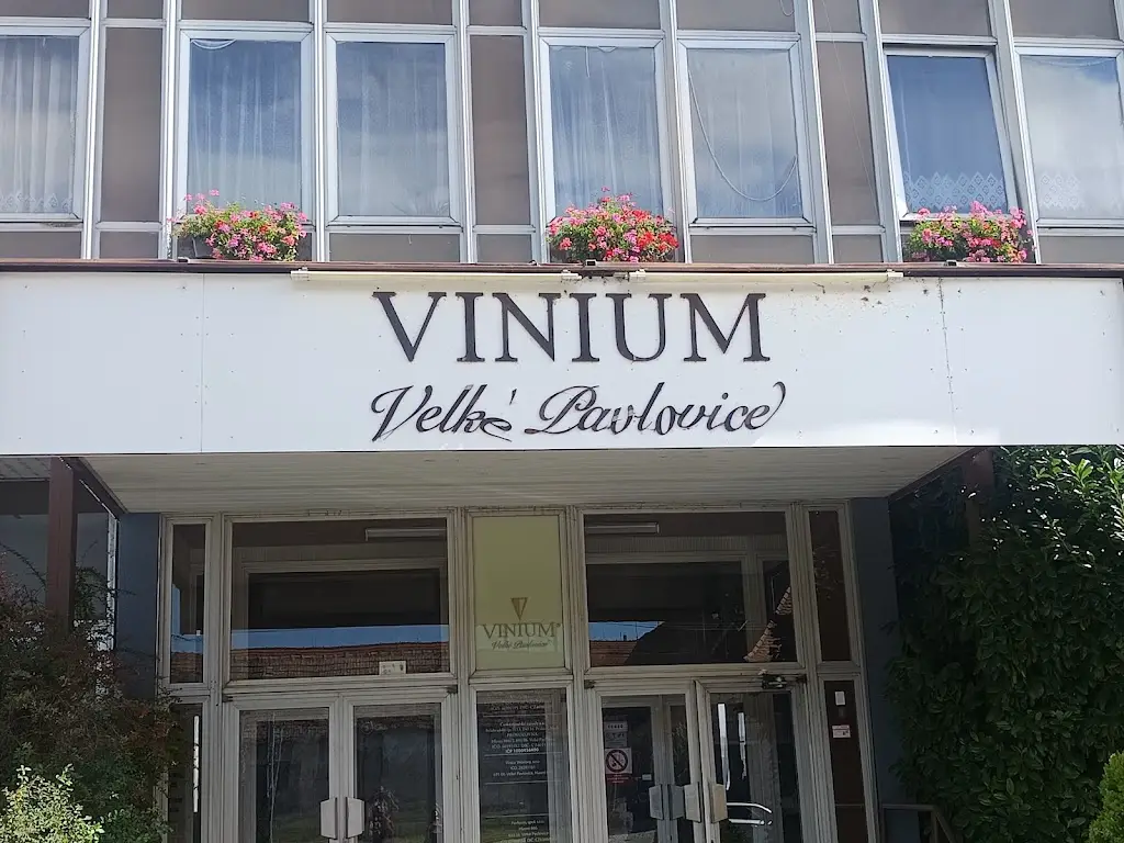 Restaurace Vinopa_Velké Pavlovice_slider_image_3