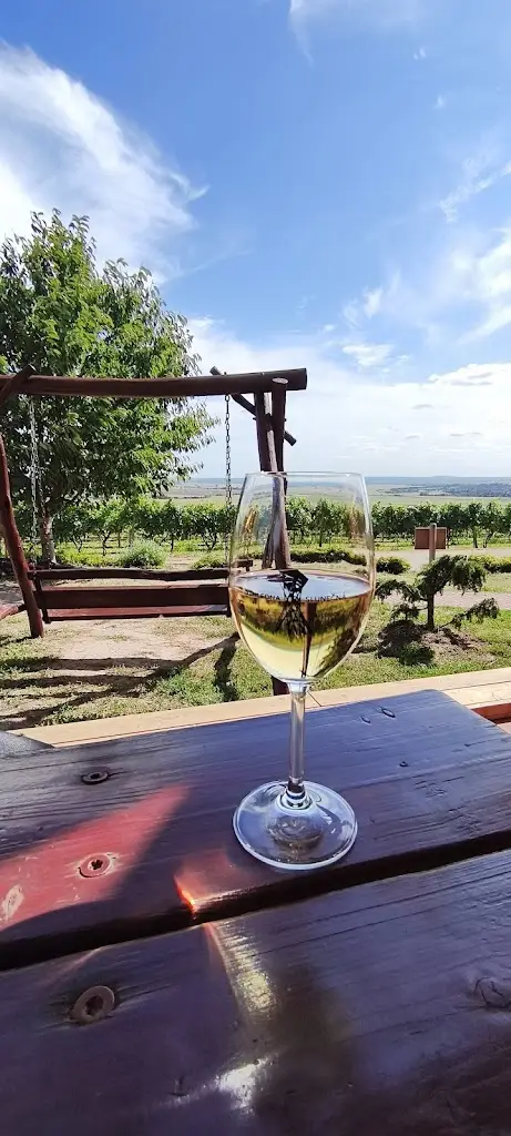 Aleš Liška_Stánek pod Slunečnou_Velké Pavlovice_review