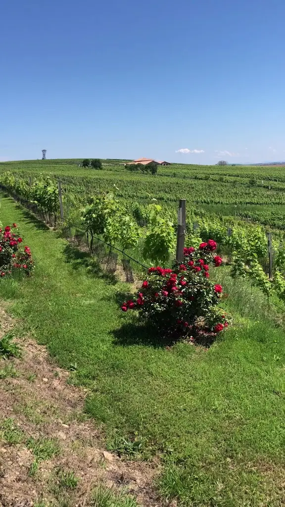 Penzión André_Velké Pavlovice_slider_image_2