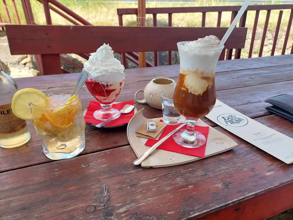 Vítězslav Pešek_Domlejna_Český Rudolec_review