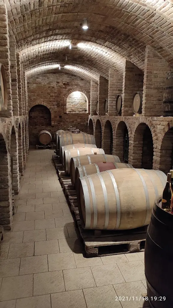 Výroba Vinařství V&M Zborovský restaurant in Velké Pavlovice