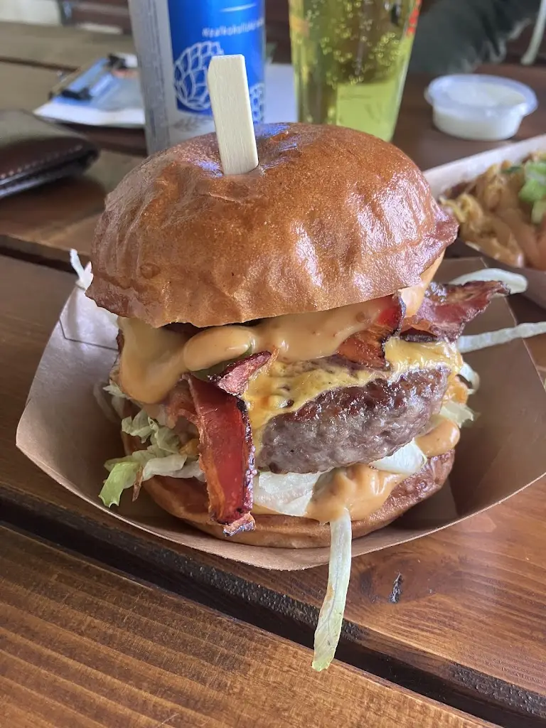 Jakub Pálka_Burger Bistro Na Zahradě_Velké Bílovice_review