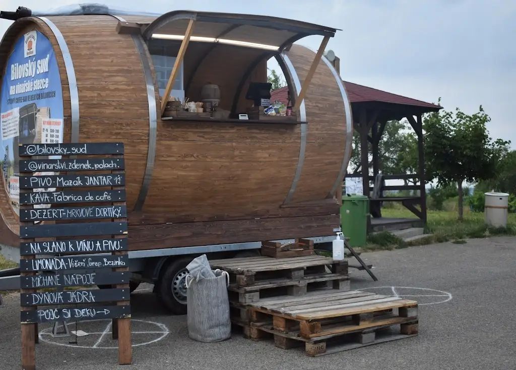 Lucie Drozenová_Bilovský sud_Velké Bílovice_review