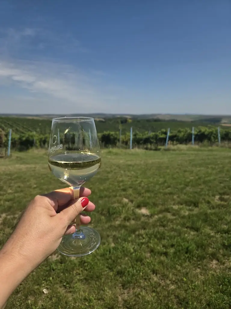 Hana Hervířová_Bilovský sud_Velké Bílovice_review