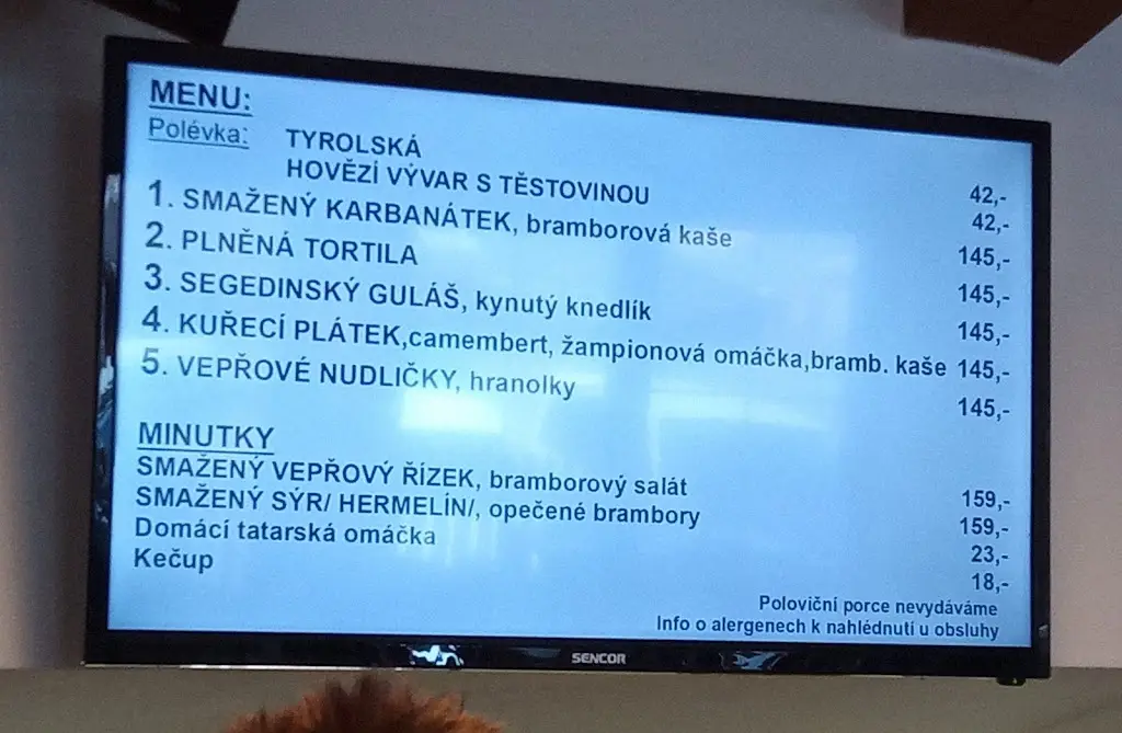 Menu_Restaurace - Jídelna Poláchová Anežka_Velké Bílovice_image_3