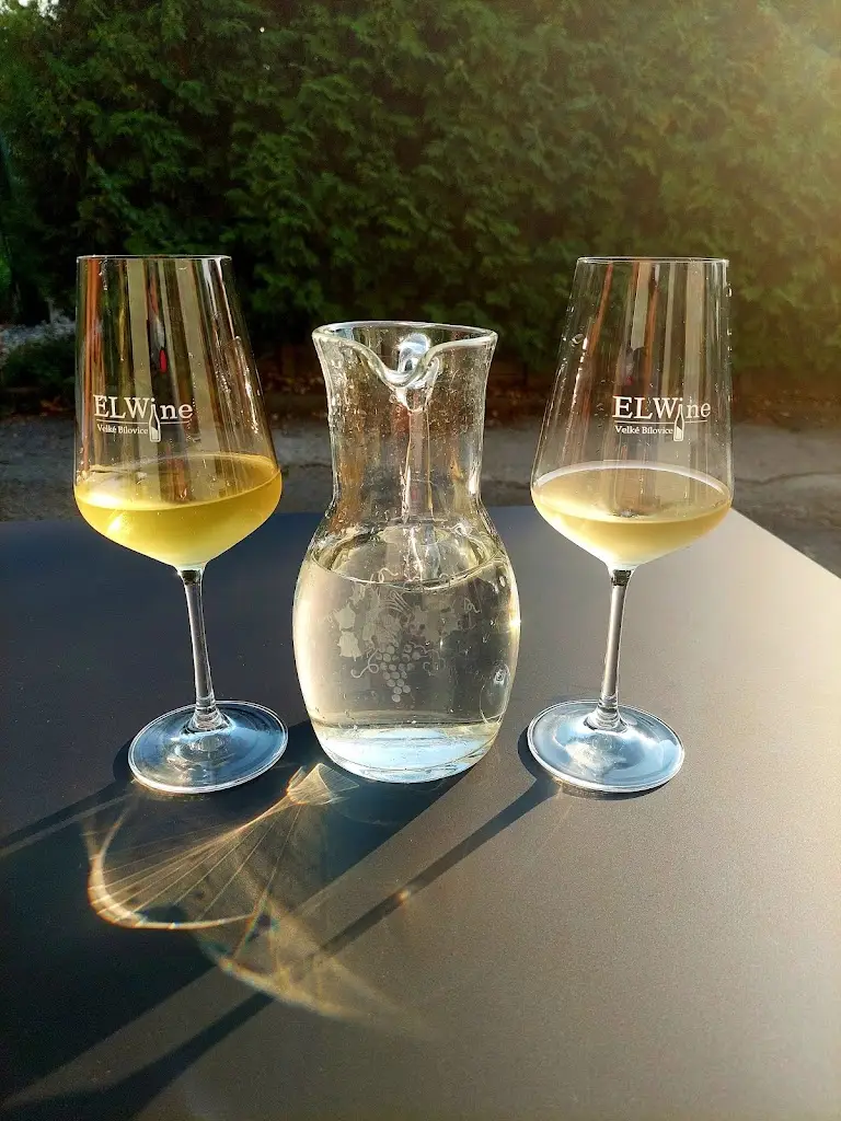 Tomáš Müller_Vinařství Elwine Velké Bílovice s.r.o._Velké Bílovice_review
