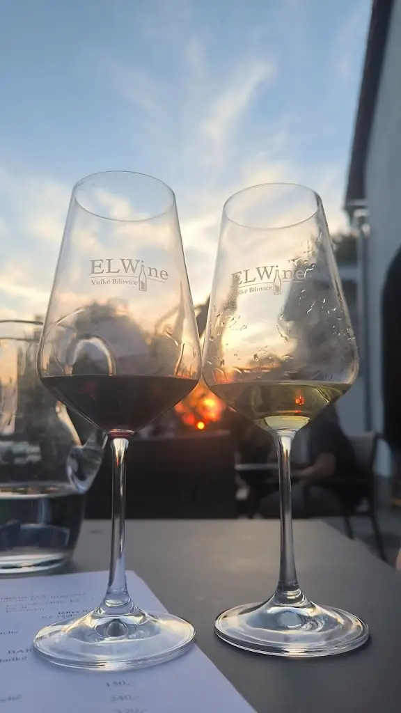 Maky Černá_Vinařství Elwine Velké Bílovice s.r.o._Velké Bílovice_review