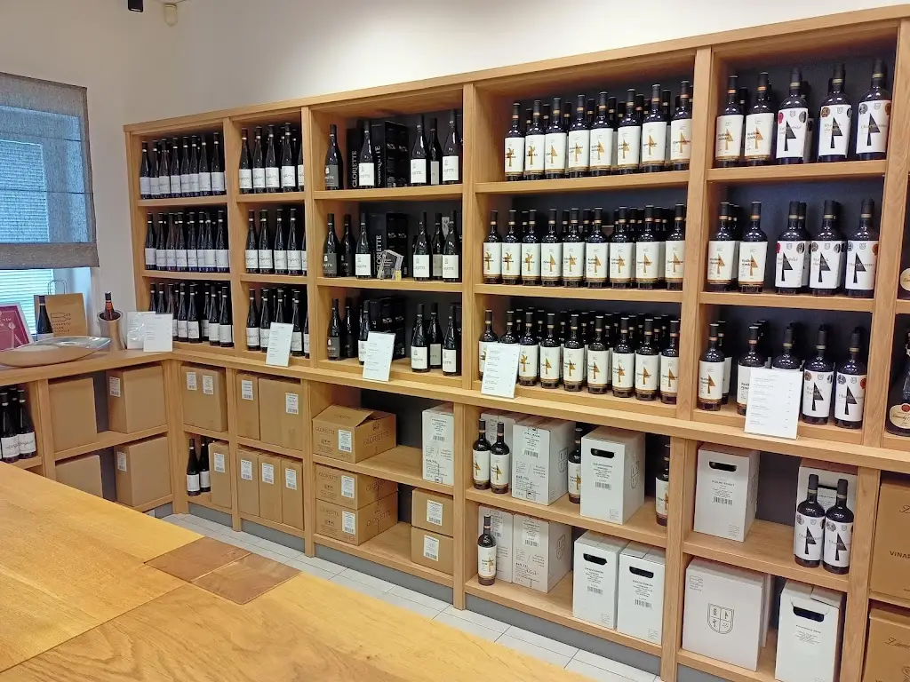 Petr Vaculcik_Vinařství Velké Bílovice_Velké Bílovice_recensione